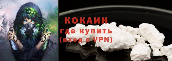 соль ск Белокуриха