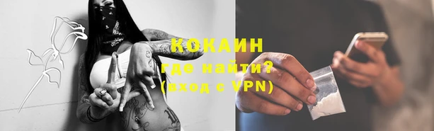 соль ск Белокуриха