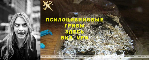 соль ск Белокуриха